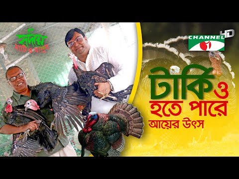 ভিডিও: কিভাবে একটি টার্কি মেরিনেট করবেন