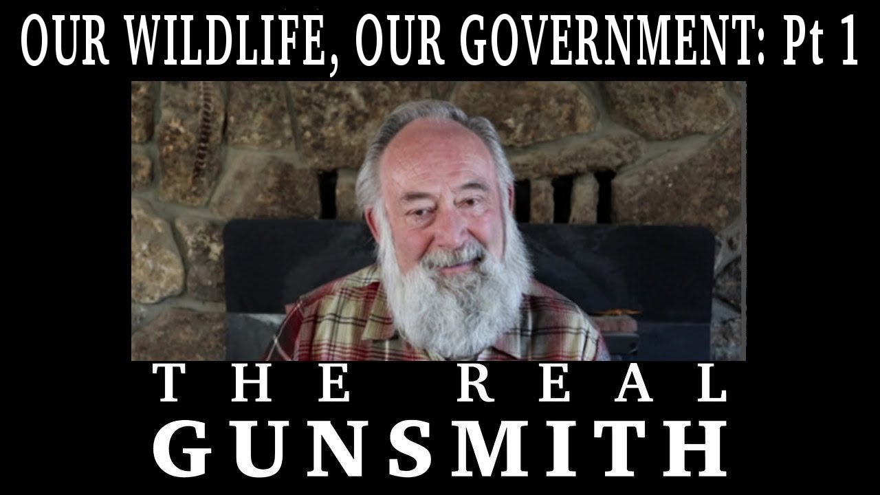 Our Wildlife, Our Government Pt 1 - YouTube