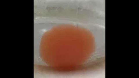 giant orbeez timelapse