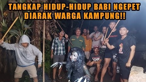 REAL TANGKAP HIDUP-HIDUP BABI NGEPET DIARAK WARGA‼️WARGA MURKA TELAH DIBUAT RESAH PESUGIHAN BABI.!!!