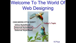 Lecture 7 - HTML CSS - Internal Stylesheet #CascadingStyleSheet #InternalStylesheet #StyleTag