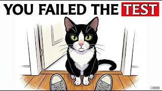 6 Silent Rules Your Cat Expects You to Follow