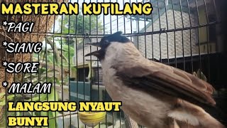 kutilang gacor TARUNG buat pancingan kutilang agar bunyi jadikan burung kutilang gacor