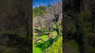 Nusrat Fateh Ali Khannfakkehna Ghalat Ghalatye Subha Subha Chehre Ki Rangat