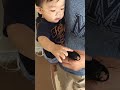 クワガタをてなずける赤さん #昆虫