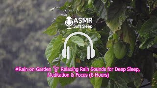 Rain On Garden Relaxing Rain Sounds For Deep Sleep, Meditation Focus 8 Hours