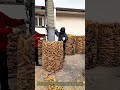 Flow Process Loading Corn Cobs with Vacuum System for Net Bag Storage #dailywork