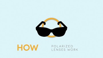 How Polarized Lenses Work