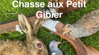 Très Belle Chasse Aux Lièvre Faisan Perdreaux Pigeon Beaucoup De Chance Et Action