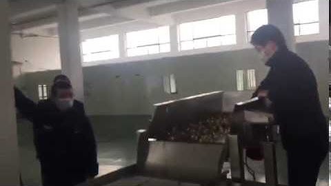 Macadamia nut sorting machine, to remove the shells &  defects nuts fruits, to improve the quality