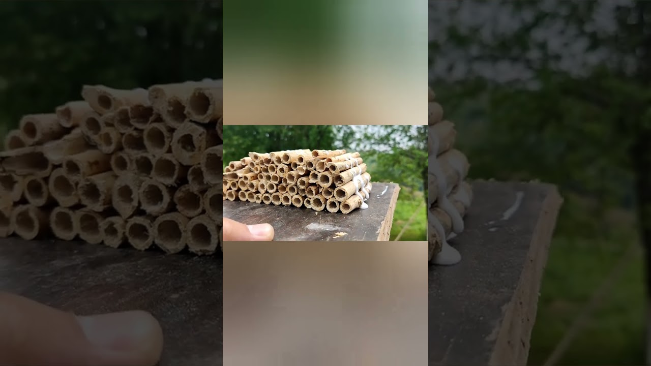 Kako napraviti jednostavne kućice za solitarne pčele