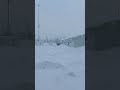 снегопад @ Нимнырская (22-03-2022)
