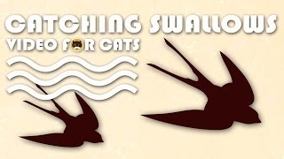 Cat Games - Catching Swallows! Birds Video For Cats To Watch.