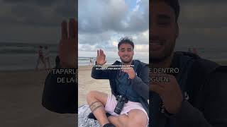 Curiosidades sobre los pulpos