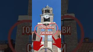 🇬🇪 (з) Грузия ❤️ Город Любви - СИГНАХИ ⚘️ 24.09.2025 🇬🇪 #travel #грузия