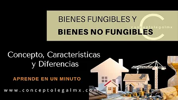 ¿Qué son los bienes fungibles y ejemplos?