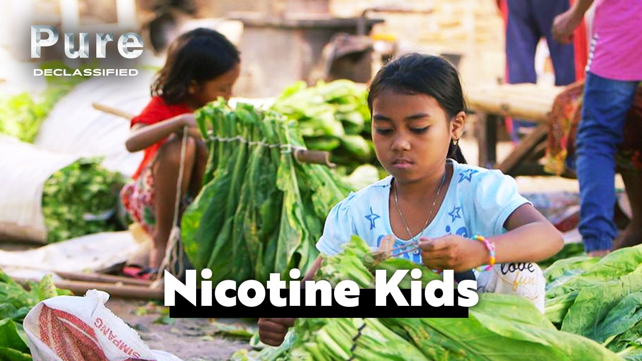 what is the 1998 american tobacco settlement State Bonds Backed by Tobacco Payments in Jeopardy of Default