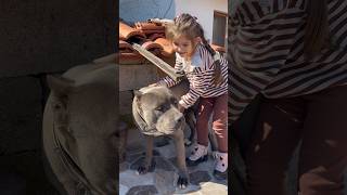 Canım Köpüşüüm 🤣 Şfetbeniöneçıkar