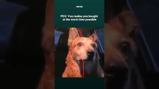 That Moment You Realize Your #Crypto Entry Was Perfectly Wrong 😅 #bitcoin #trading #cryptomarket