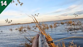 BEST Kayak HIDE I've EVER Had (Limited Out) | Solo Kayak Duck Hunting