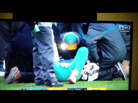 Steelers vs Dolphins Matt Moore gets laid out by BUD Dupree