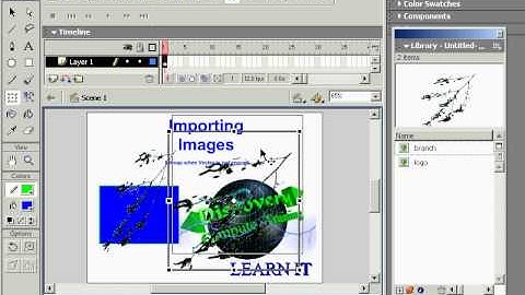 BITMAPS in flash tutorial 10
