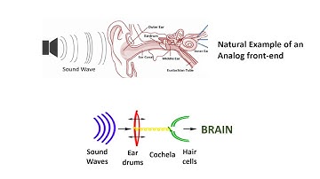 Analog Front Ends for Layman