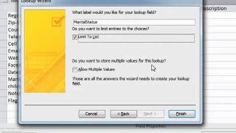 Microsoft Access 2010 - Adding Lookup Options To A Field - Tutorial