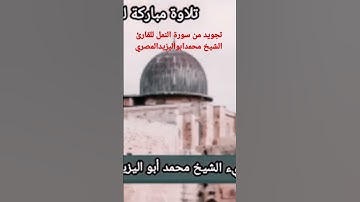 تجويد مبارك لما تيسر من سورة النمل للقارئ الشيخ محمد أبو اليزيد المصري