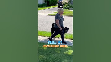 3 SKILLS TO HELP LEASH REACTIVE DOGS! - Leash Reactivity