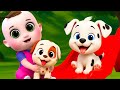 Little Baby Bingo Song New Compilation | Yankee Doodle | Nursery Rhymes and Kids Songs | Baby Angel