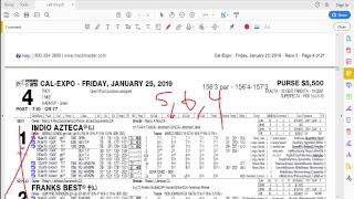 Mr. Trifecta's Harness Racing Handicapping 101