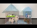 DIY - How To Make Villa House For Cute Pomeranian Poodle Puppies & Scottish Kitten Cat - MR PET #71