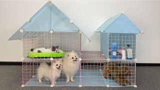 DIY  How To Make Villa House For Cute Pomeranian Poodle Puppies & Scottish Kitten Cat  MR PET #71