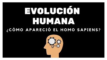 ¿Cómo evolucionamos de monos a humanos?