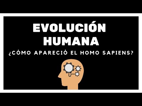 Video: ¿Con qué mono estamos más relacionados?