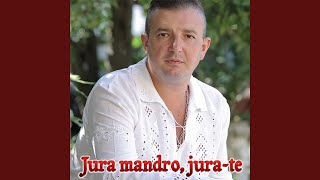 Un roman si un tigan