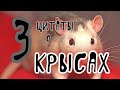 Три цитаты о крысах