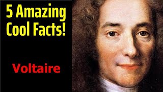 5 Fascinating Facts About Voltaire
