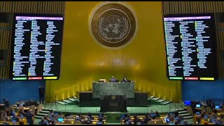 L'Onu vota a favore della richiesta di adesione della Palestina