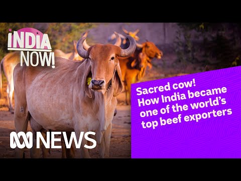 Who Is The Biggest Importer Of Beef In The World