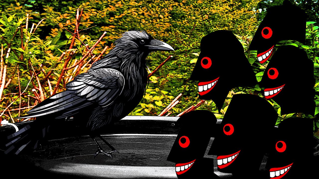 How to Keep Crows Away From Bird Feeders ⚫🪄 YouTube