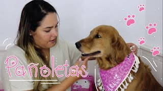 Pañoletas para tu mascota / AkiraModels