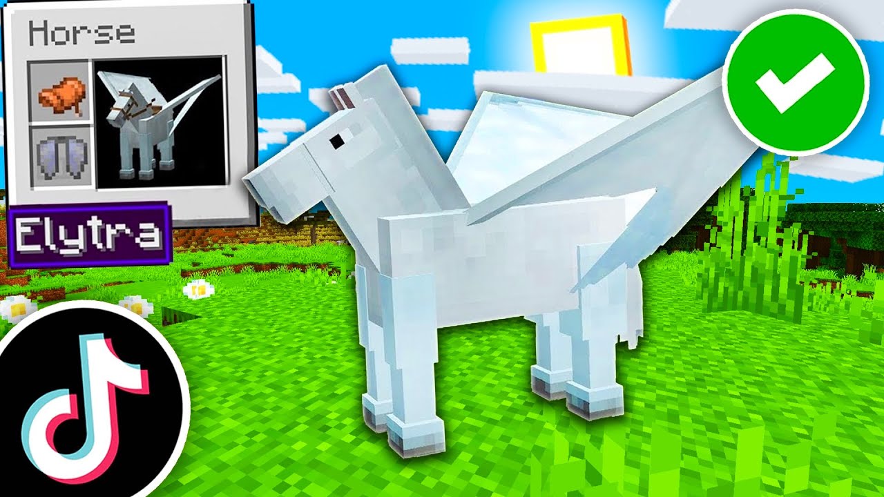Hacky Minecraft Minecraft Life Hacky které MUSÍŠ VIDĚT! - YouTube