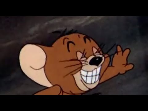 The 23 Best Tom And Jerry Memes Funny Strong Socials