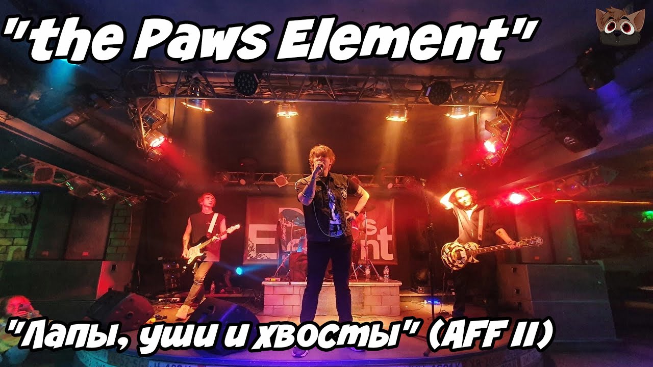 The Paws element картинки. The paws element