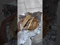Best Bagels In Maryland Best Bagels In Maryland