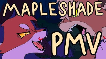 【Tonight You Belong To Me】Mapleshade AU PMV