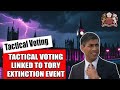 The Tactical Voting Challenge