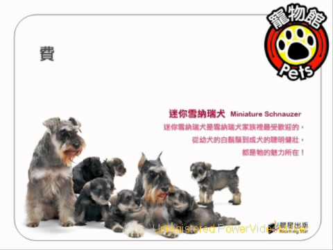 105種狗狗完全圖鑑